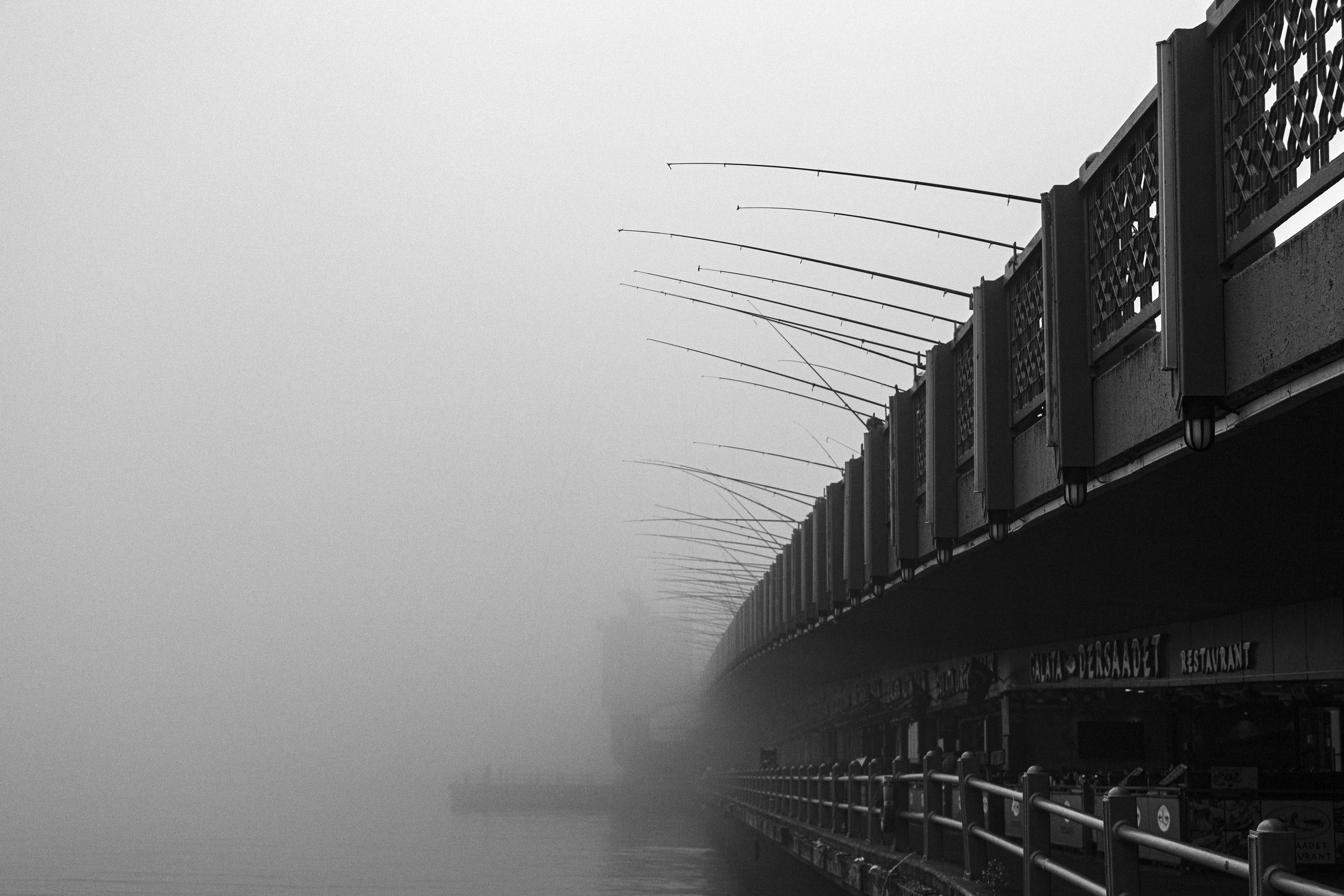 FREEDOM AND URBANITY: ISTANBUL THROUGH PHOTOGRAPHS